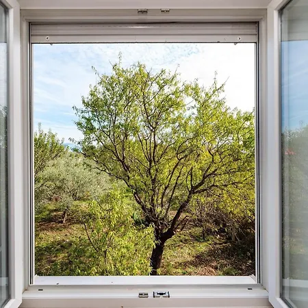 别墅 Vesna Lux - Five Bedroom With Swimming Pool 扎达尔